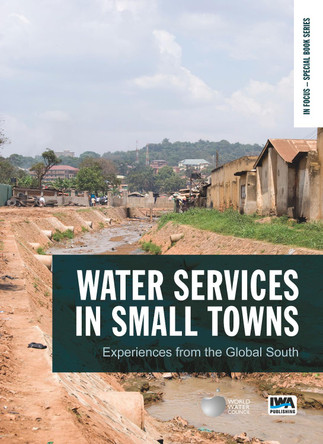 Water Services in Small Towns: Experiences from the Global South by Klaas Schwartz 9781789060607