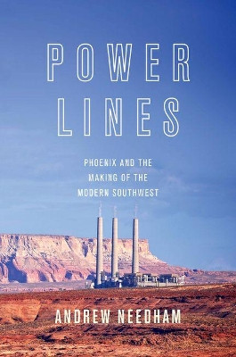Power Lines: Phoenix and the Making of the Modern Southwest by Andrew Needham 9780691173542