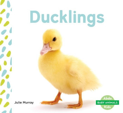 Ducklings by Julie Murray 9781532100017
