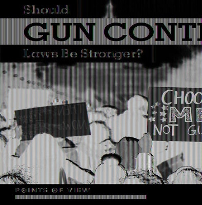 Should Gun Control Laws Be Stronger? by Judy Thorpe 9781534534360