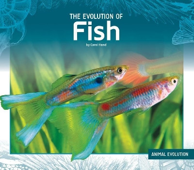 The Evolution of Fish by Carol Hand 9781532116643