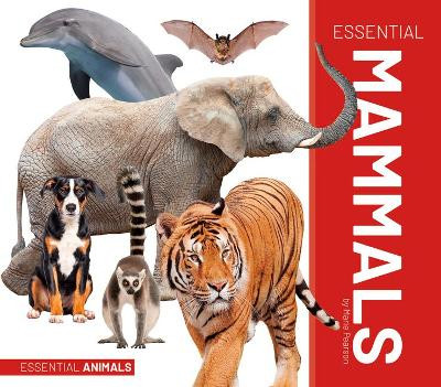 Essential Mammals by Marie Pearson 9781532195549