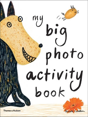 My Big Photo Activity Book by Pascale Estellon 9780500650073