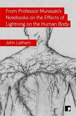 From Professor Murasaki's Notebooks on the Effects of Lightning on the Human Body by John Latham 9781910974285