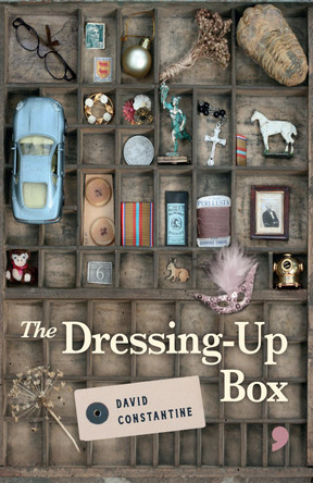 The Dressing-Up Box by David Constantine 9781912697304
