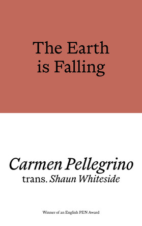 The Earth is Falling by Carmen Pellegrino 9781913513474