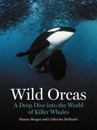 Wild Orcas: A Deep Dive into the World of Killer Whales by Hanne Strager 9780691269849