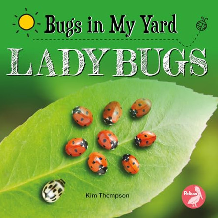 Ladybugs by Kim Thompson 9781638974277