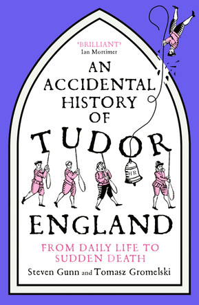 An Accidental History of Tudor England: From Daily Life to Sudden Death by Steven Gunn 9781529333763