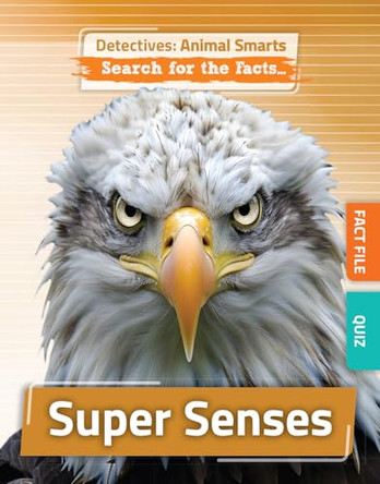 Super Senses by Anne O'Daly 9781835720271