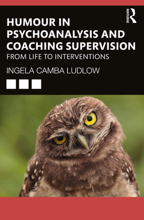 Humor in Psychoanalysis and Coaching Supervision: From Life to Interventions by Ingela Camba Ludlow