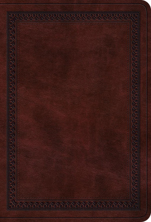 ESV Value Large Print Compact Bible 9798874903060