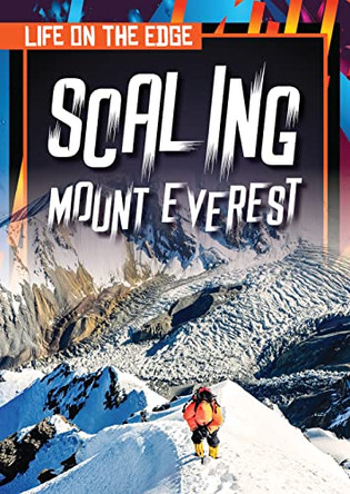 Scaling Mount Everest by Danielle Haynes 9781642827149