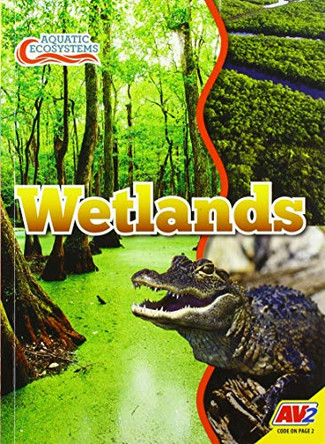 Wetlands by John Willis 9781791128203