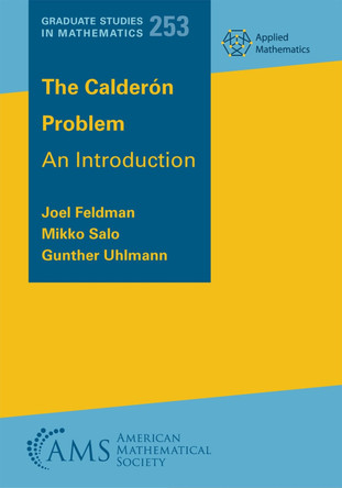 The Calderon Problem: An Introduction by Joel Feldman 9781470481971