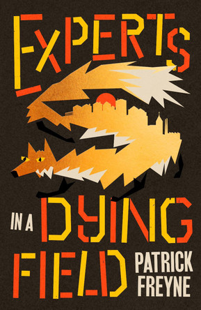 Experts in a Dying Field by Patrick Freyne 9781844886999