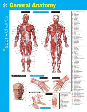 General Anatomy SparkCharts by SparkNotes 9781411470187