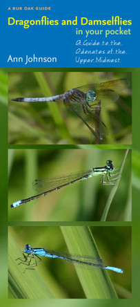 Dragonflies and Damselflies in Your Pocket: A Guide to the Odonates of the Upper Midwest by Ann Johnson 9781587297861