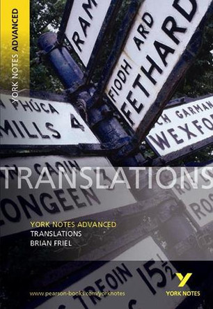 Translations: York Notes Advanced by John Brannigan 9780582784383 [USED COPY]