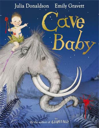 Cave Baby by Julia Donaldson 9780330522762 [USED COPY]