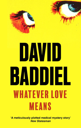 Whatever Love Means by David Baddiel 9780349113920 [USED COPY]