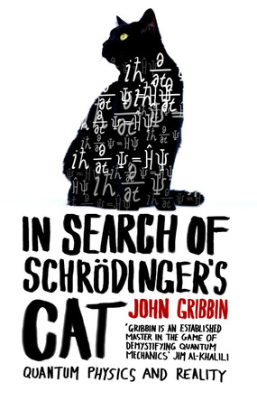 In Search Of Schrodinger's Cat: Updated Edition by John Gribbin 9780552125550 [USED COPY]