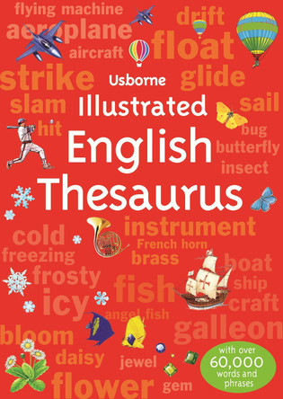 Illustrated English Thesaurus by Fiona Chandler 9781409584353 [USED COPY]