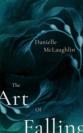 The Art of Falling by Danielle McLaughlin 9781473613669 [USED COPY]