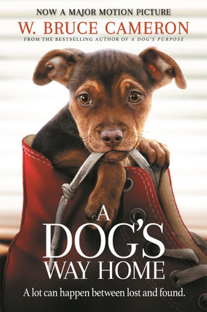 A Dog's Way Home: The Heartwarming Story of the Special Bond Between Man and Dog by W. Bruce Cameron 9781529002690 [USED COPY]
