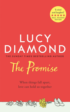 The Promise by Lucy Diamond 9781529027013 [USED COPY]