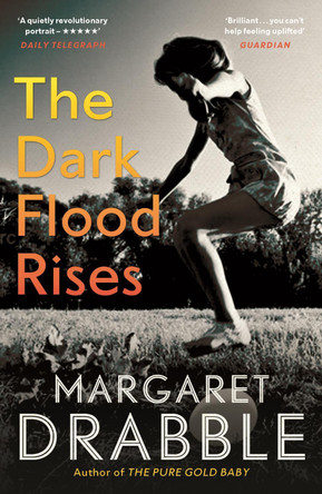 The Dark Flood Rises by Margaret Drabble 9781782118336 [USED COPY]
