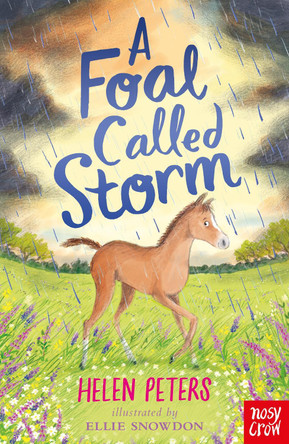 A Foal Called Storm by Helen Peters 9781788009515 [USED COPY]