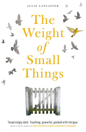 The Weight of Small Things by Julie Lancaster 9781913406189 [USED COPY]