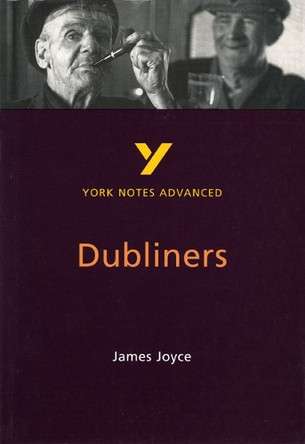 Dubliners: York Notes Advanced by John Brannigan 9780582329119 [USED COPY]