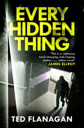 Every Hidden Thing by Ted Flanagan 9780857305589 [USED COPY]