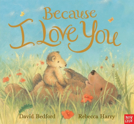 Because I Love You by David Bedford 9780857632425 [USED COPY]