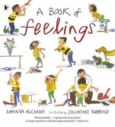 A Book of Feelings by Amanda McCardie 9781406365917 [USED COPY]