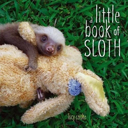 A Little Book of Sloth by Lucy Cooke 9781442445574 [USED COPY]