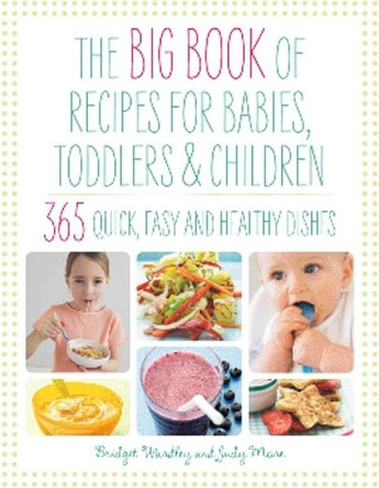 The Big Book of Recipes for Babies, Toddlers & Children: 365 Quick, Easy and Healthy Dishes by B. L. Wardley 9781844830367 [USED COPY]