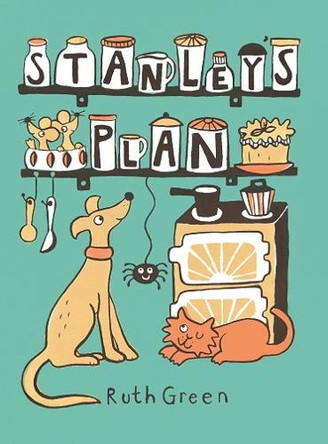 Stanley's Plan: The Birthday Surprise by Ruth Green 9781849763059 [USED COPY]