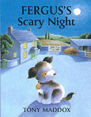 Fergus's Scary Night by Tony Maddox 9781853406317 [USED COPY]