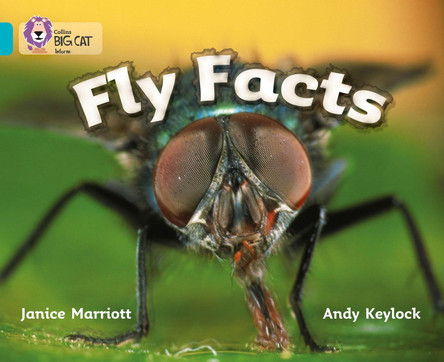 Fly Facts: Band 07/Turquoise (Collins Big Cat) by Janice Marriott 9780007186082 [USED COPY]