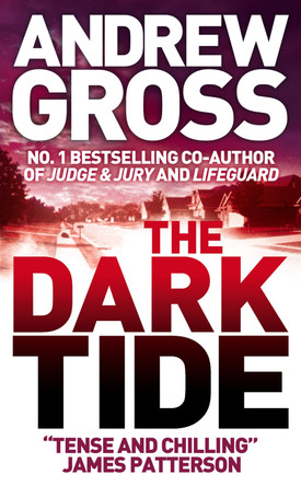 The Dark Tide by Andrew Gross 9780007242474 [USED COPY]