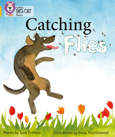 Catching Flies: Band 09/Gold (Collins Big Cat) by Collins Big Cat 9780007461813 [USED COPY]