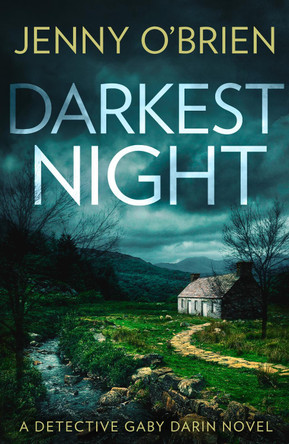 Darkest Night (Detective Gaby Darin, Book 2) by Jenny O’Brien 9780008390181 [USED COPY]