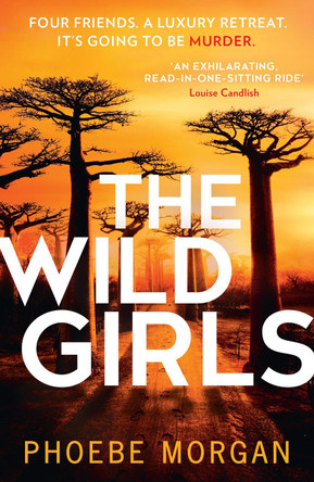 The Wild Girls by Phoebe Morgan 9780008406967 [USED COPY]