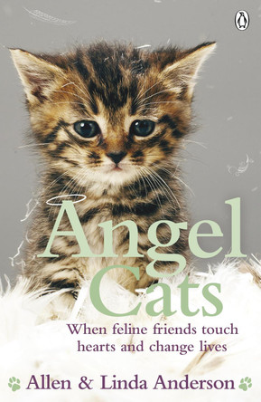 Angel Cats: When feline friends touch hearts and change lives by Allen Anderson 9780141044415 [USED COPY]