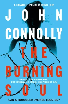 The Burning Soul: A Charlie Parker Thriller: 10 by John Connolly 9780340993552 [USED COPY]