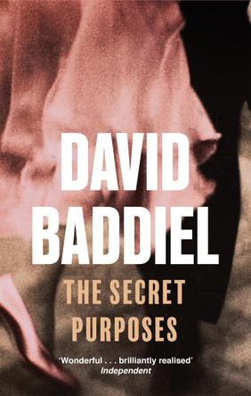 The Secret Purposes by David Baddiel 9780349117461 [USED COPY]