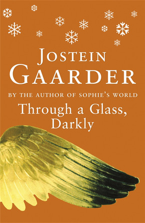 Through A Glass, Darkly by Jostein Gaarder 9780753806739 [USED COPY]